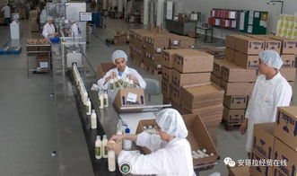 投資1000萬美元的化妝品加工廠在安開業，引領本土美妝產業新格局